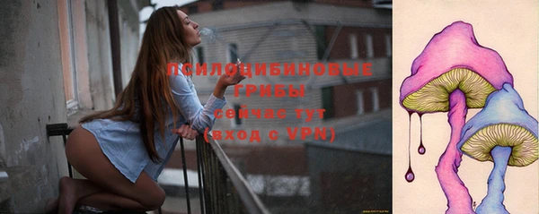 МДПВ Арсеньев