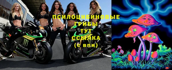 героин Алзамай